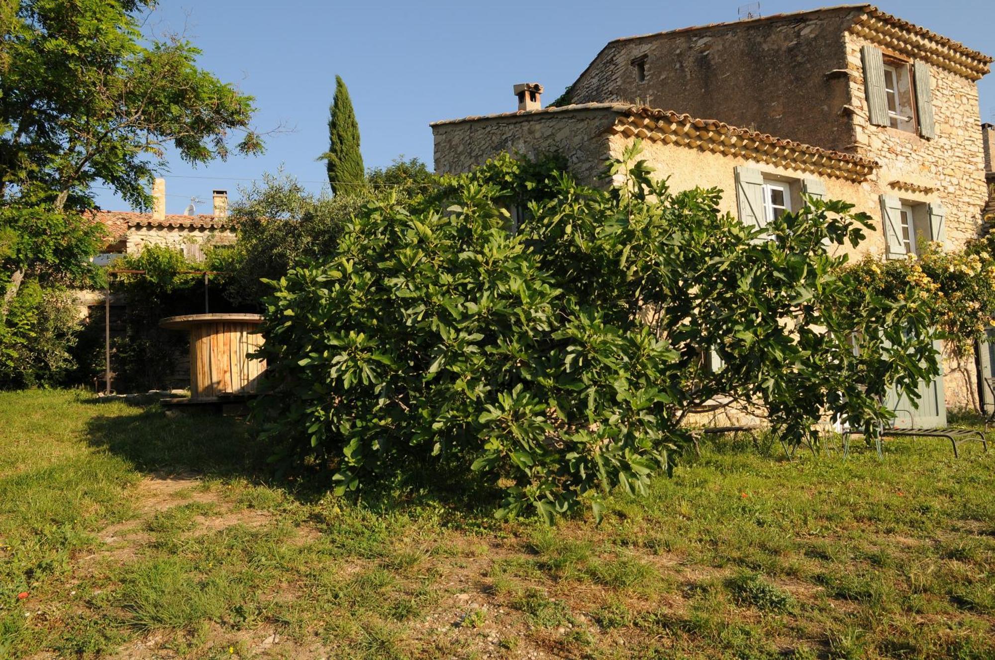 Le Jas De Peguier Bed & Breakfast Châteauneuf-Val-Saint-Donat Dış mekan fotoğraf